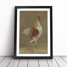 Fighting Cock Vol.2 By John