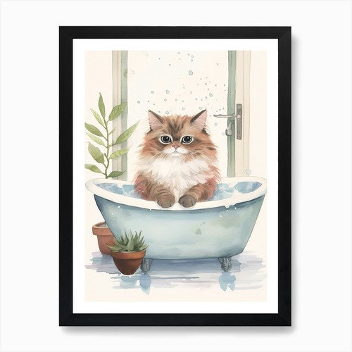 Himalayan cat bathtub - cat,