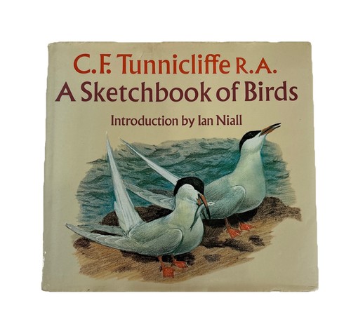 Sketchbook birds c - a,