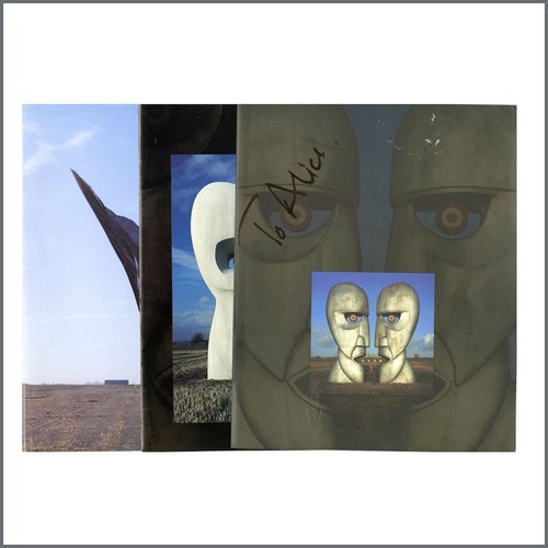 Pink floyd division bell 1994 - pink,