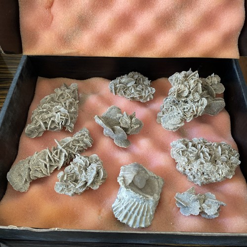 Natural desert rose selenite - desert,