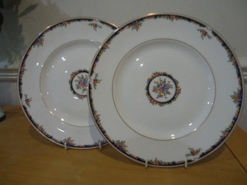 Wedgwood osborne dinner plates - wedgwood,