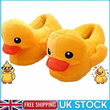 Duck Slippers, 2024