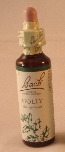 Bach flower remedies holly - bach,