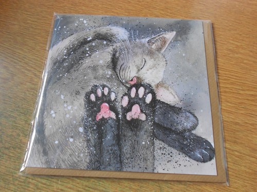 Toe beans single blank - 'toe,