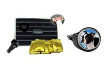 Boston Terrier puppy codey4