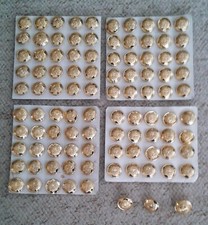 QTY 98  - COLDSTREAM GUARDS OFFICER'S GILT TUNIC BUTTONS - MED. 97 - LGE 1