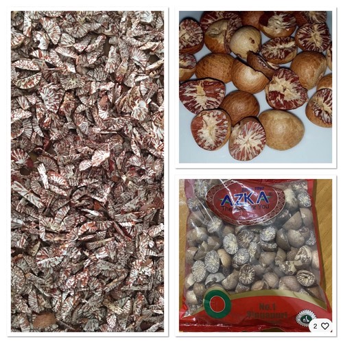 Areca catechu betel - areca, -betel