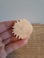 Fossil Sand Dollar -