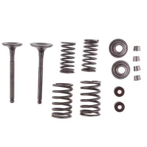 Intake exhaust valves springs - intake,