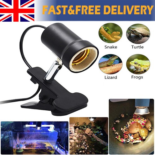 Reptile heating light bulb - heating,