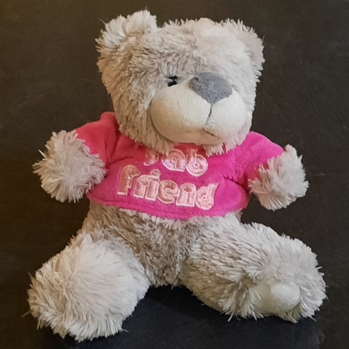 Teddy bear cuddles - teddy,