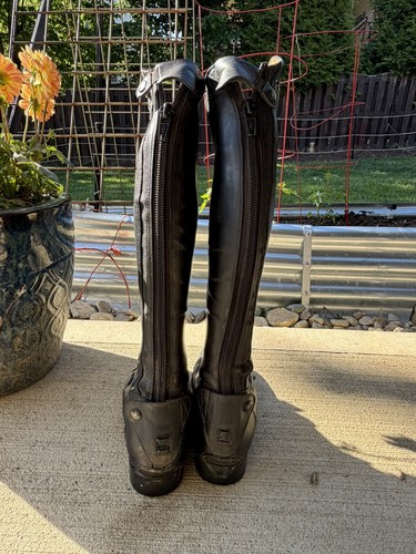 Ariat palisade tall - tall, riding