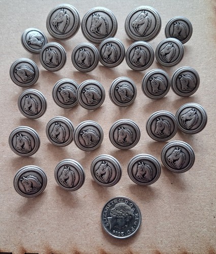 Hoarse buttons shank pewter - hoarse,