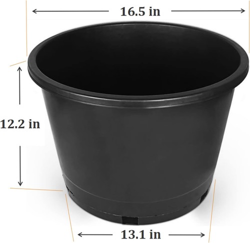 Liguvcy pack gallon round - 5-pack, 10