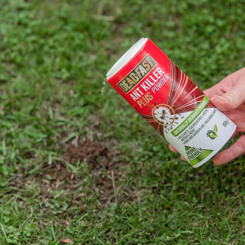 Deadfast ant killer plus - ant,