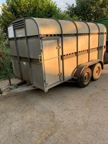 Bateson cattle sheep livestock - bateson,