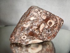 2kg Red Fossill raw rock crystal Minerals specimen Natural 