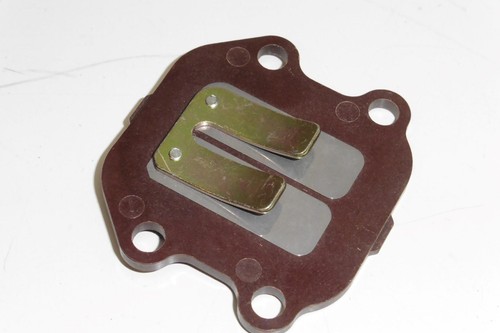 Diaphragm block - diaphragm,