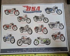 Domi Racer Poster BSA Sales