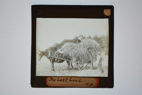 Horse drawn hay cart the - horse,