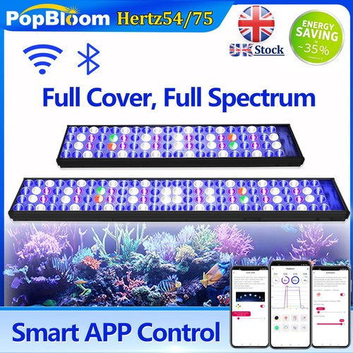Popbloom wifi aquarium - wifi,