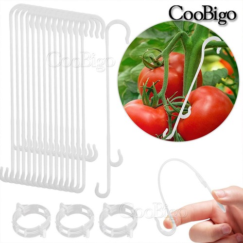 100pcs tomato support - support, hook