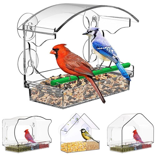 Acrylic clear window bird - acrylic,