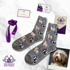 Tibetan terrier socks unisex - tibetan,