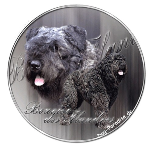 Sticker motif bouvier - motif, de