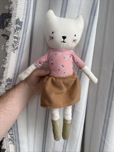 Home cat kitten - home,