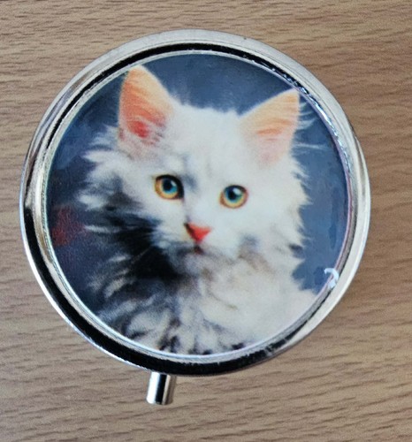 Beautiful white cat round - cat, pill