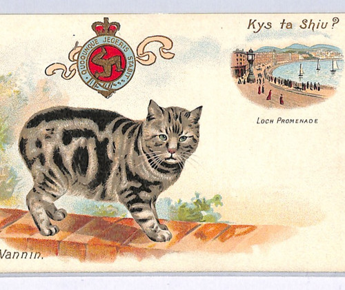 Isle man early postcard - man,