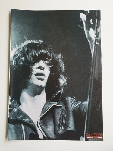The ramones joey ramone - /, fear