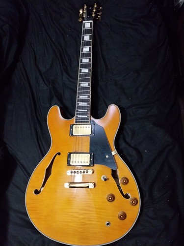 Sh40ta semi hollow - j&d,