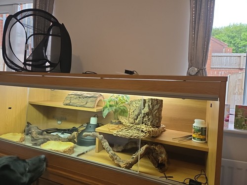 Reptile tank unfortunately - reptile,