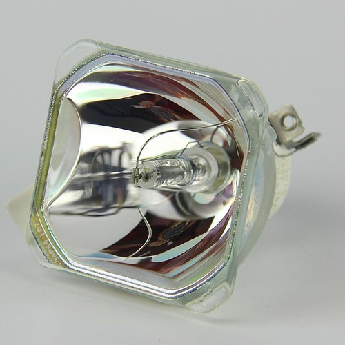 L2312u projector lamp - pk-l2312u,