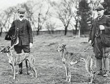 Brigg Lincolnshire Hare Coursing / Open Coursing Meeting 1905 Photo Article M363