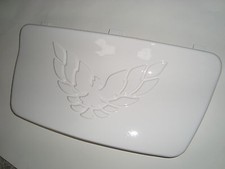 Paint Blemish Firebird Trans