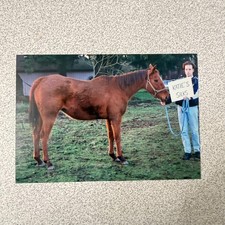 Man Horse 1990s Snapshot