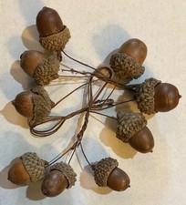 9 Wired Natural Real Acorns