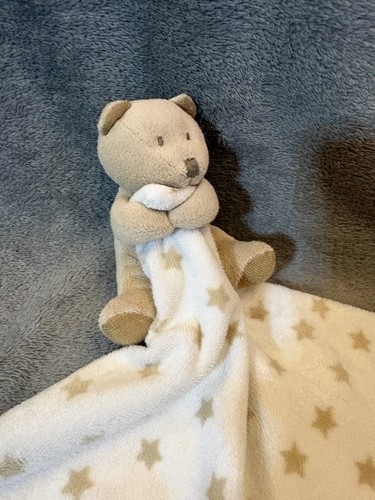 Matalan teddy bear - teddy,
