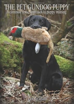 The pet gundog - the,