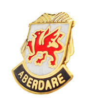 Aberdare Wales Crest Small Pin