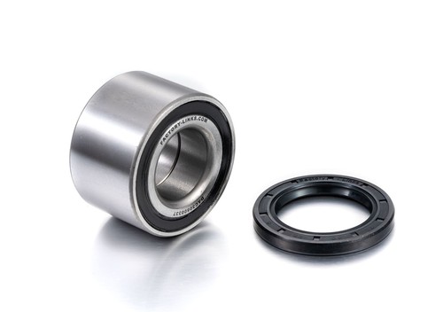 Rear wheel bearing kit can - bearing,