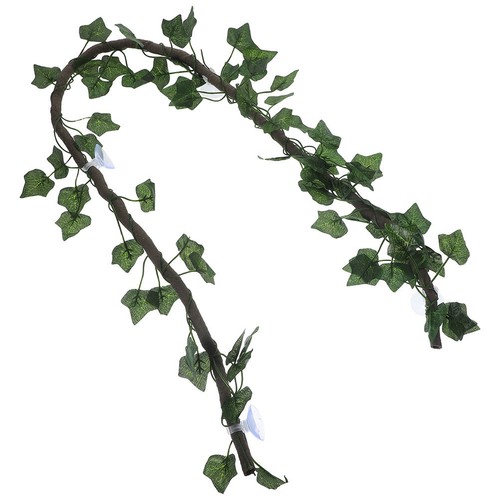 Lizards climbing vine reptile - ,