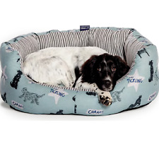 BATTERSEA PLAYFUL DOG DELUXE