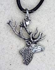 Small Stag Head Hunting