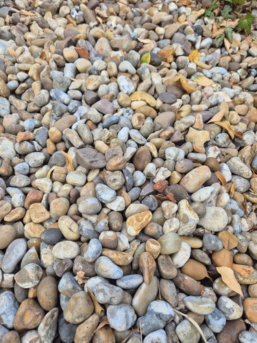 Multicoloured river pebbles - multicoloured,