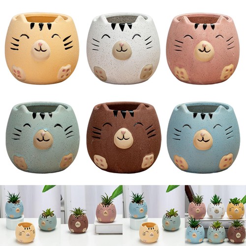 Succulents planters pots tiny - succulents,